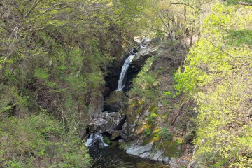 청정신흥마을 여행 추천 - 메고지고