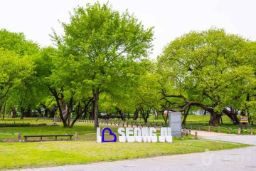 성주별고을체육공원 여행 추천 - 메고지고