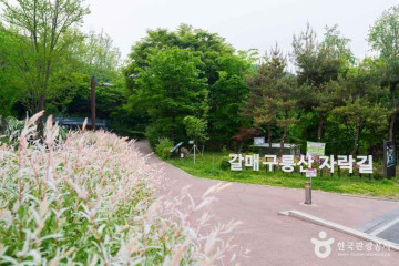 나만갑선생신도비 여행 추천 - 메고지고
