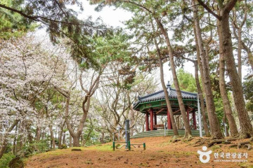 누웨마루거리 여행 추천 - 메고지고