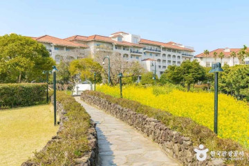 중문골프클럽 여행 추천 - 메고지고