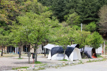 양평숲 비룡캠프장 여행 추천 - 메고지고