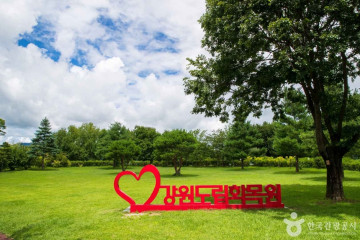 춘천인형극장&인형극박물관 여행 추천 - 메고지고