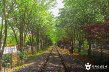 팔복동 천변 여행 추천 - 메고지고
