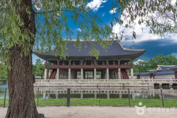광화문 여행 추천 - 메고지고