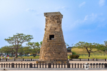 경주 핑크뮬리(경주 핑크뮬리 군락지) 여행 추천 - 메고지고