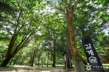 거창 농산리 석조여래입상 여행 추천 - 메고지고