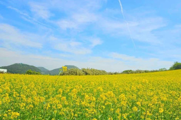 위도해수욕장 여행 추천 - 메고지고