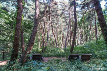 오도산 여행 추천 - 메고지고