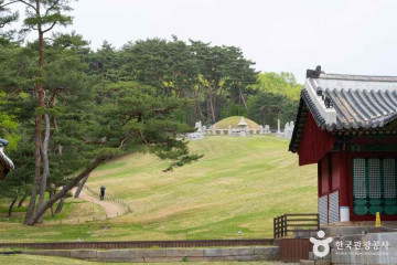 양섬 여행 추천 - 메고지고