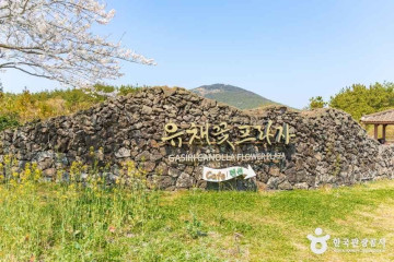 큰사슴이오름 여행 추천 - 메고지고