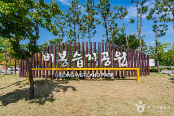 안산갈대습지공원 여행 추천 - 메고지고