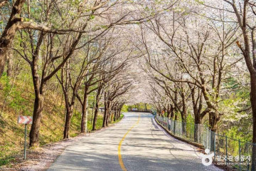 건봉령승호대 여행 추천 - 메고지고