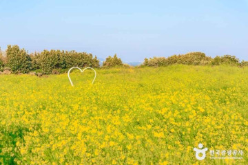 성산일출봉 [유네스코 세계자연유산] 여행 추천 - 메고지고