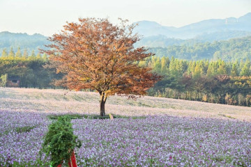 당진 백석올미마을 여행 추천 - 메고지고