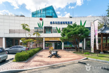 계명산 나무숲길 캠핑장 여행 추천 - 메고지고