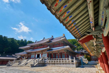 용인둥지골캠핑장 여행 추천 - 메고지고