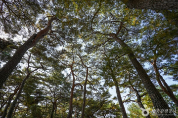 화천서원 여행 추천 - 메고지고