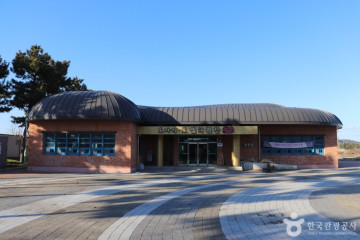 염전해변캠핑장 여행 추천 - 메고지고