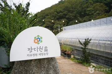 하늘아래수성별사랑캠프 여행 추천 - 메고지고
