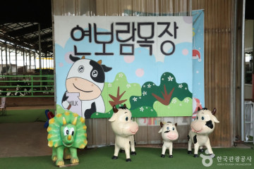 마송중앙공원 여행 추천 - 메고지고