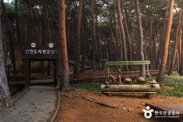 안면도스쿨버스캠핑장 여행 추천 - 메고지고
