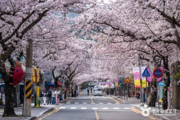봄날의 책방 여행 추천 - 메고지고