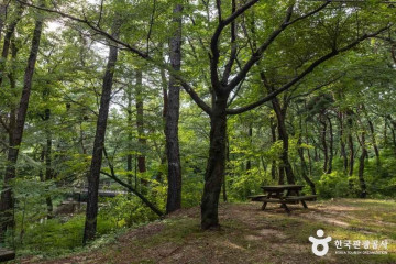 마니산국민관광지 여행 추천 - 메고지고