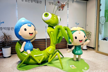 옥천레포츠공원 여행 추천 - 메고지고