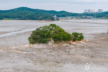 젤리캠핑 여행 추천 - 메고지고