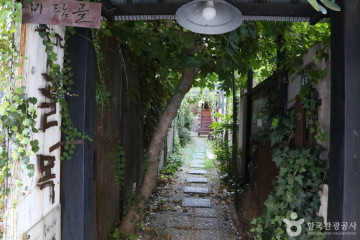 부산예술회관 여행 추천 - 메고지고