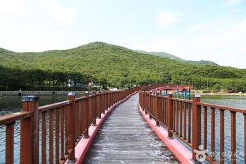 저구항 여행 추천 - 메고지고