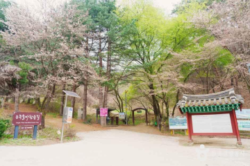 원주시미래성장교육관 여행 추천 - 메고지고