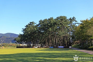 밀양문화원 여행 추천 - 메고지고