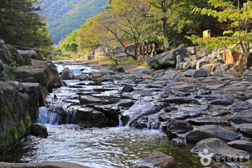 봉성저수지 여행 추천 - 메고지고