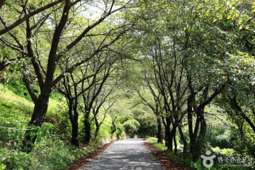 서상항 여행 추천 - 메고지고