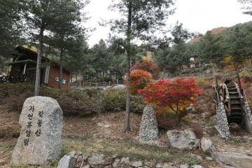 우니메이카 가평점 여행 추천 - 메고지고