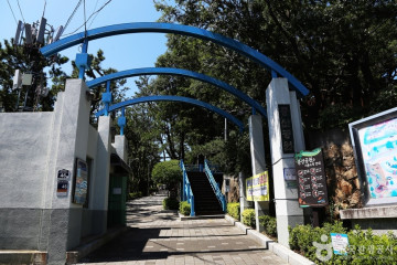 부산 동구도서관 여행 추천 - 메고지고