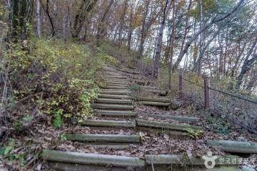 행복&피크닉 여행 추천 - 메고지고