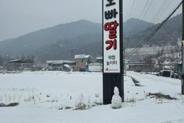 원성 성남리 성황림 여행 추천 - 메고지고
