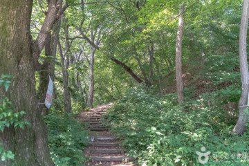미륵사(용인) 여행 추천 - 메고지고