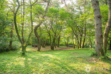 제주 노루생태관찰원 여행 추천 - 메고지고