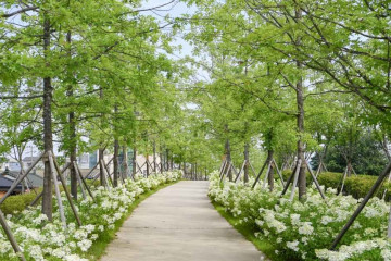 태장도서관 여행 추천 - 메고지고