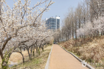 간데메공원 여행 추천 - 메고지고