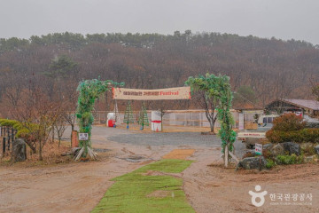 어린이미술관자란다 여행 추천 - 메고지고