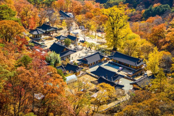 용문산 여행 추천 - 메고지고
