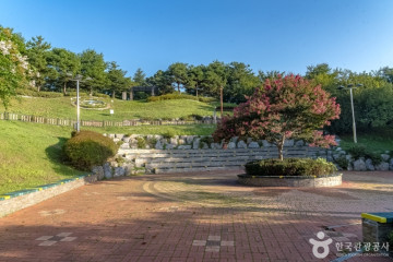 버드나무 브루어리 여행 추천 - 메고지고