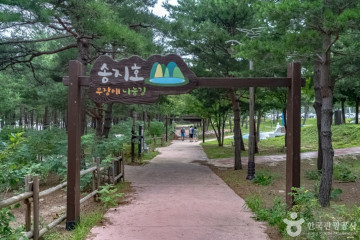 송지호관망타워 여행 추천 - 메고지고