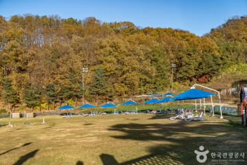 양지 파인골프클럽 여행 추천 - 메고지고