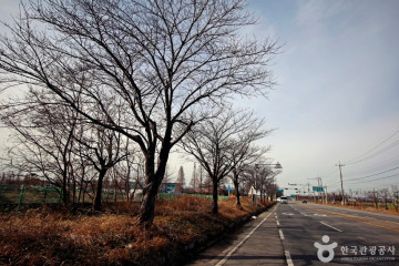 저산서원(김제) 여행 추천 - 메고지고